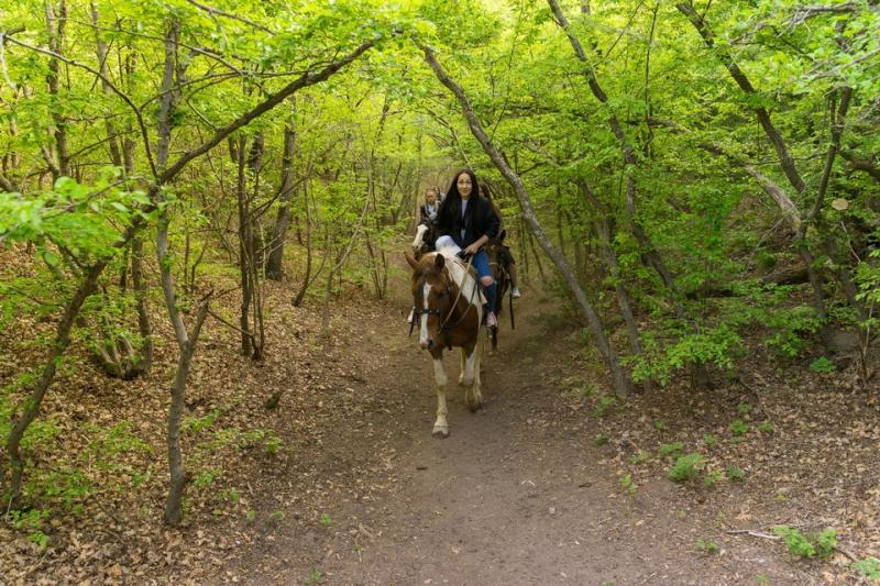 Конные прогулки в Анапе